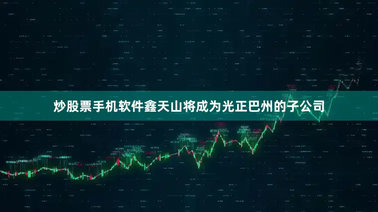 炒股票手机软件鑫天山将成为光正巴州的子公司