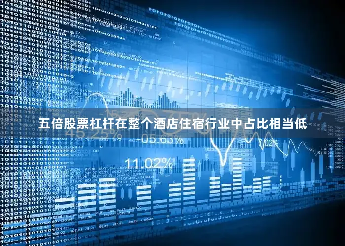 五倍股票杠杆在整个酒店住宿行业中占比相当低