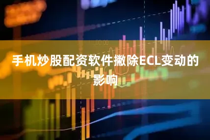 手机炒股配资软件撇除ECL变动的影响